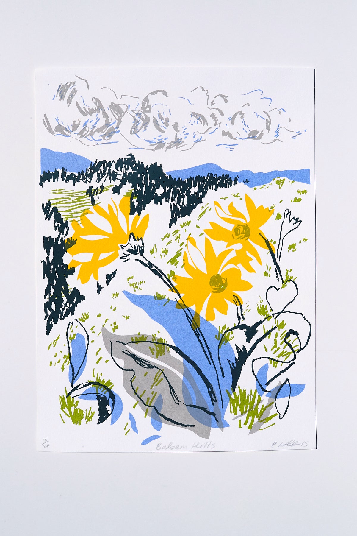 Balsam Hills Print– The WildCraft Store